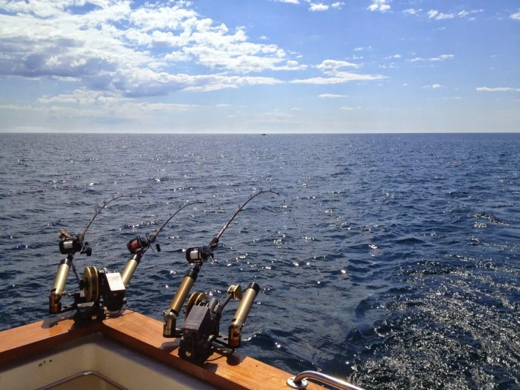 big game fishing scaled e1638454226690