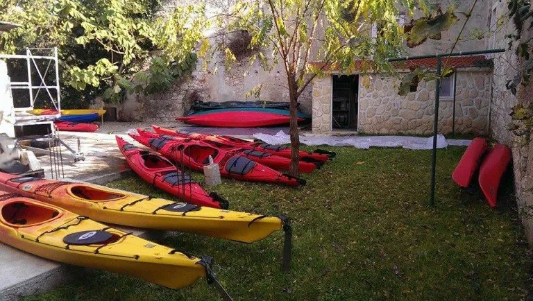 kayaks