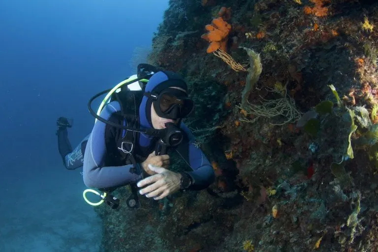 scuba diver