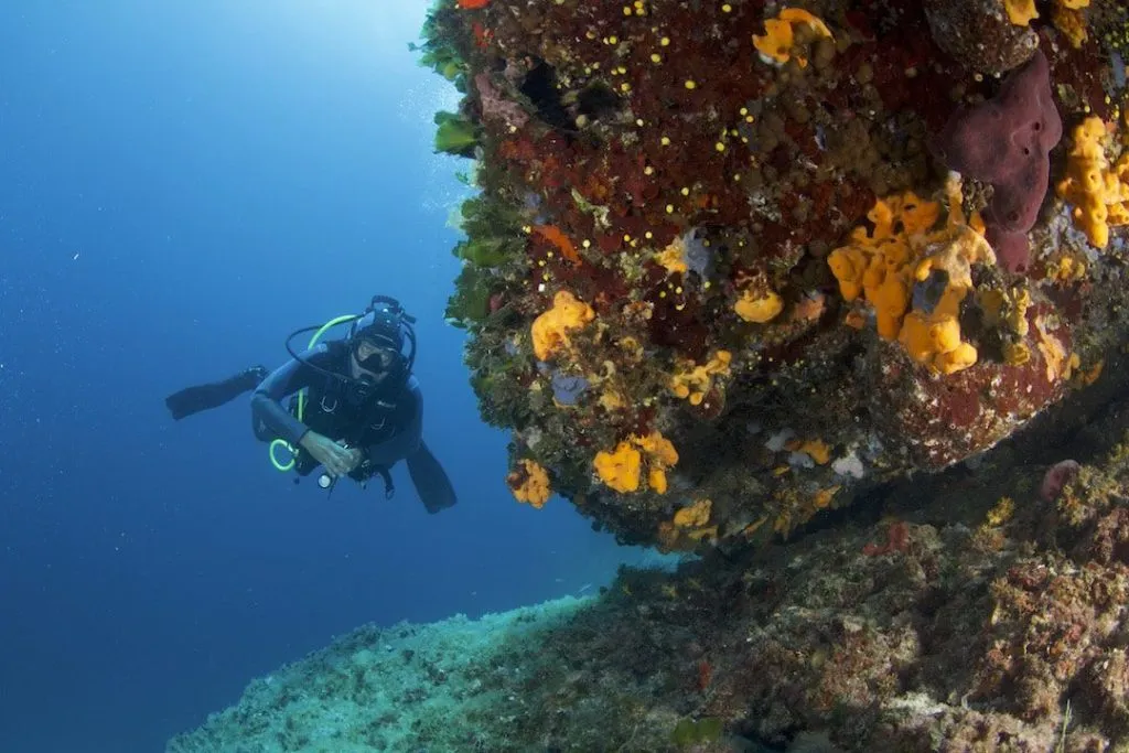 scuba diver underwater