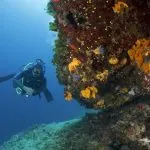 scuba diver underwater