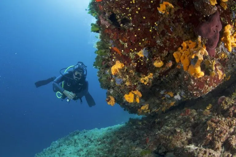 scuba diver underwater